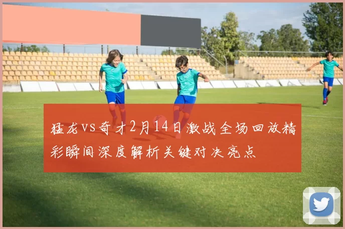 猛龙vs奇才2月14日激战全场回放精彩瞬间深度解析关键对决亮点