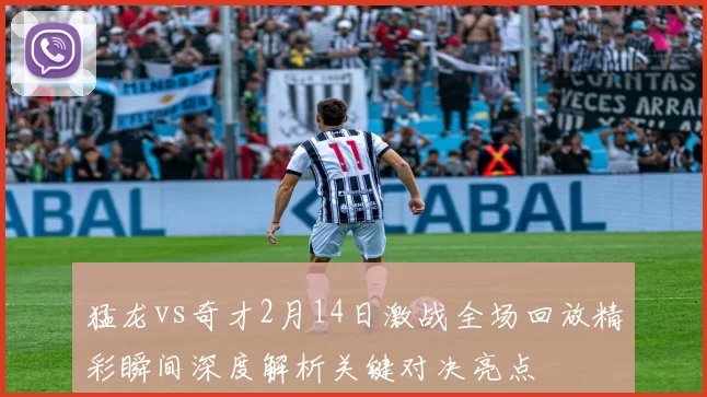 猛龙vs奇才2月14日激战全场回放精彩瞬间深度解析关键对决亮点