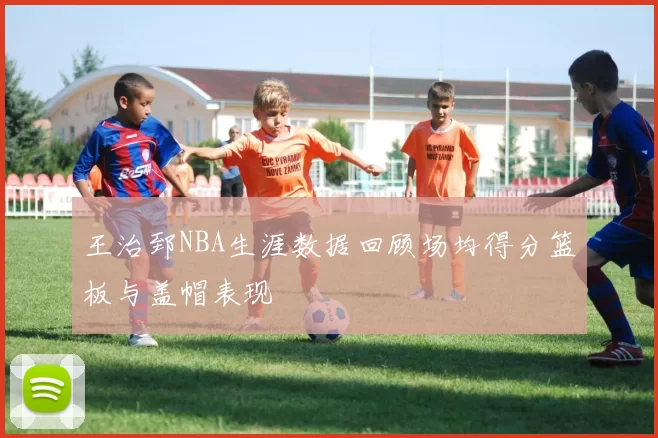 王治郅NBA生涯数据回顾场均得分篮板与盖帽表现