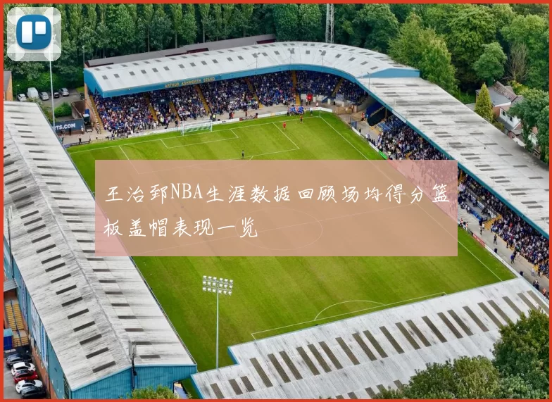 王治郅NBA生涯数据回顾场均得分篮板盖帽表现一览