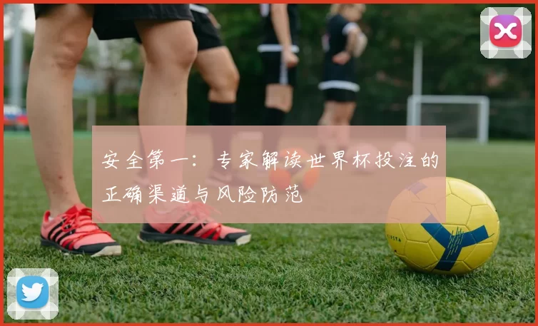 安全第一：专家解读世界杯投注的正确渠道与风险防范