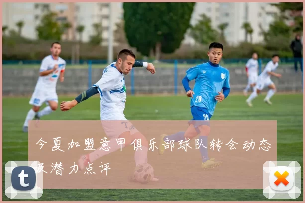 今夏加盟意甲俱乐部球队转会动态及潜力点评