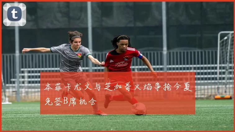 本菲卡尤文与芝加哥火焰争抢今夏免签B席机会