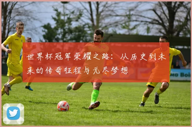 世界杯冠军荣耀之路:从历史到未来的传奇征程与无尽梦想