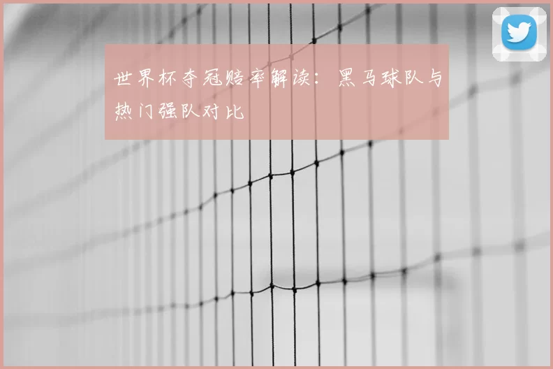 世界杯夺冠赔率解读：黑马球队与热门强队对比