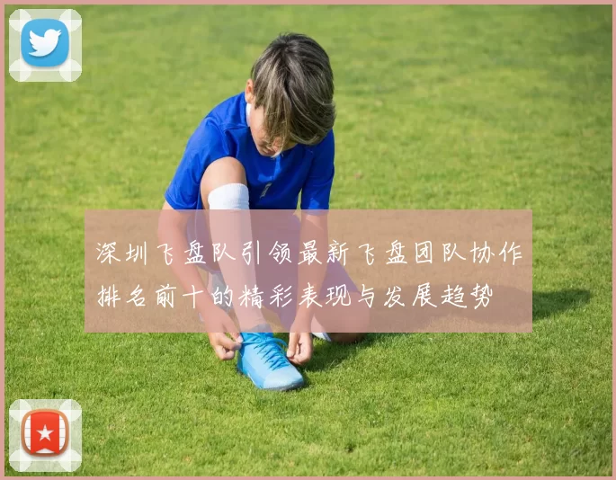深圳飞盘队引领最新飞盘团队协作排名前十的精彩表现与发展趋势