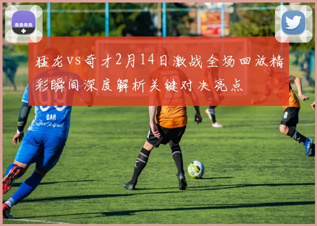 猛龙vs奇才2月14日激战全场回放精彩瞬间深度解析关键对决亮点