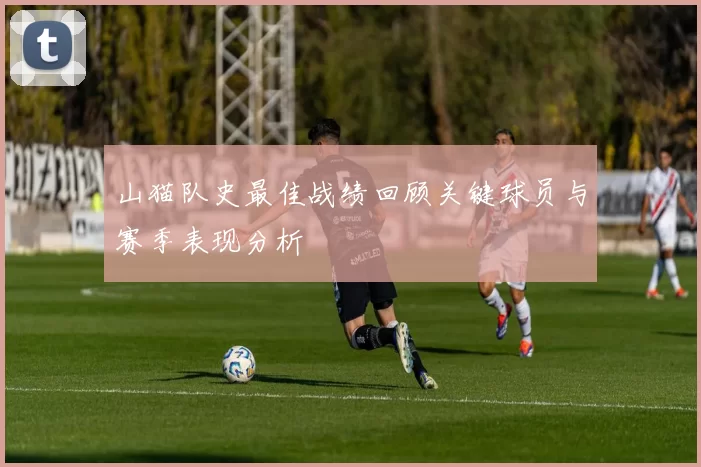 山猫队史最佳战绩回顾关键球员与赛季表现分析