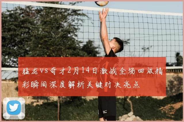 猛龙vs奇才2月14日激战全场回放精彩瞬间深度解析关键对决亮点