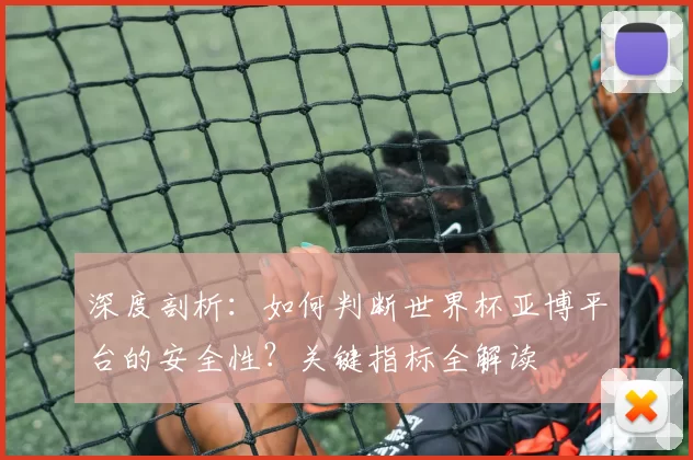 深度剖析:如何判断世界杯亚博平台的安全性?关键指标全解读