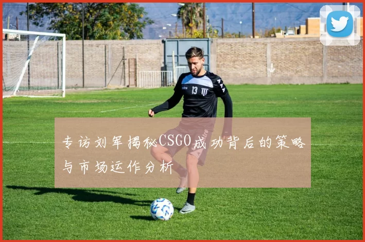 专访刘军揭秘CSGO成功背后的策略与市场运作分析