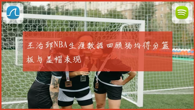 王治郅NBA生涯数据回顾场均得分篮板与盖帽表现