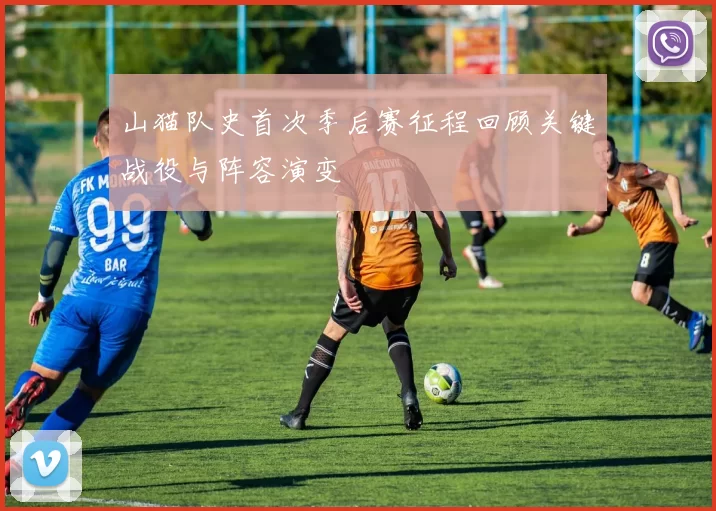 山猫队史首次季后赛征程回顾关键战役与阵容演变