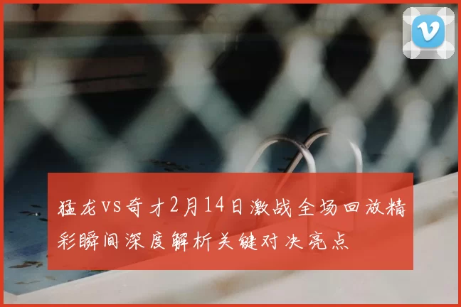 猛龙vs奇才2月14日激战全场回放精彩瞬间深度解析关键对决亮点
