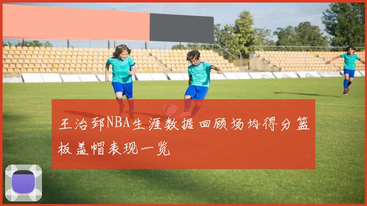 王治郅NBA生涯数据回顾场均得分篮板盖帽表现一览