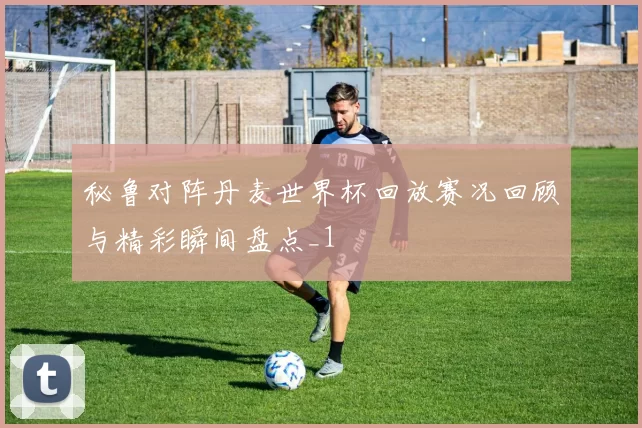 秘鲁对阵丹麦世界杯回放赛况回顾与精彩瞬间盘点_1