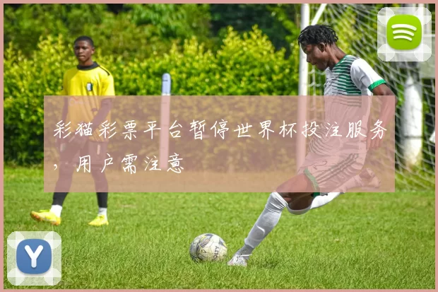 彩猫彩票平台暂停世界杯投注服务,用户需注意