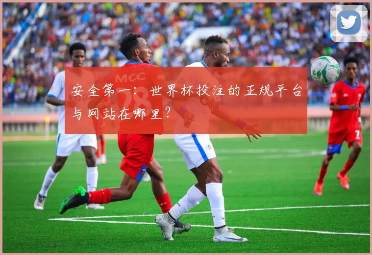 安全第一:世界杯投注的正规平台与网站在哪里?